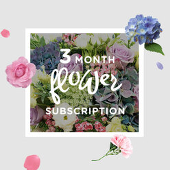 This photograph shows a serene, three-month subscription bouquet resting as if on a dining table in an Oxford townhouse, bathed in soft daylight that filters across the petals. Cool blue hydrangeas form the foundation, their clustered blossoms giving a cloud-like fullness and a sense of depth, like shaded corners of the University Parks. Nestled among them are roses in shades of blush pink and gentle lilac, each bloom carefully placed so that their rounded, velvety heads lean into one another, creating a feeling of quiet intimacy and warmth. Frilly lisianthus add a light, almost feathery texture, their delicate petals and slender stems lifting the arrangement upwards, suggesting new growth and subtle movement. Around the edges, fresh greenery fans out in varied shapes and tones, from deep forest greens to brighter, spring-fresh leaves, echoing the layered foliage of Oxford's hidden gardens off Iffley Road or Walton Street. The colours remain firmly in a pastel palette-soft, harmonious, and calming-while the composition feels thoughtfully balanced rather than rigidly formal. You can almost imagine the gentle fragrance: a mix of rose sweetness, cool floral notes from the hydrangea, and the clean scent of just-cut stems. The bouquet embodies the comforting rhythm of a monthly delivery, arriving at front doors across Oxford, from Headington to Botley, to brighten meals, desk spaces, and quiet evenings. It radiates an understated elegance, the kind of arrangement chosen not only to decorate a room but to soften the day and invite a moment of pause, reflection, and simple pleasure.