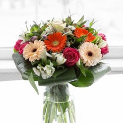 The bouquet before you pulses with lively colour and contemporary elegance-a harmonious offering likely curated by an Oxford florist who appreciates both modern style and classic romance. Vibrant orange and soft peach gerbera daisies radiate from the centre, their petals luminous under natural light, while rich magenta roses tuck in between, hinting at both sophistication and deep feeling. Wisps of white alstroemeria and petite spray roses provide gentle highlights throughout, their airy quality evoking the quiet serenity of a morning stroll along the Cherwell. Folded aspidistra leaves encircle the base, their broad, waxy surfaces contrasting with the softness of the blossoms. Here and there, closed lily buds and star-shaped white fillers add freshness and an uplifting sense of anticipation. The clear glass vase, tall and slender, showcases the vibrant matrix of green stems within, echoing the organic beauty of Oxford's many meadows. Light filters softly from behind, casting a glow reminiscent of sunlit colleges and tranquil quadrangles. The effect is one of joyful vitality-a bouquet suited to celebrate a new achievement, send gratitude to a professor, or simply bring a touch of Oxford's spirit home. The subtle scent of rose and lily hovers in the air, marrying tradition with innovation in a gesture as inviting as a punt ride on a warm day.