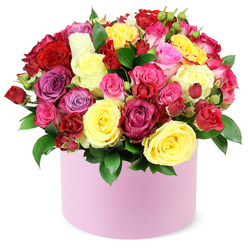 On a bright Oxford morning, the hat box arrangement arrives like a held ray of sunshine. This radiant bouquet of roses-packed into a round, soft pink container-speaks in colour: bold crimson, cheery yellow, playful pinks, velvet magentas, lilac, and creamy ivory, all arranged in a compact, high domed form. The petals unfurl in ruffled layers; some blooms stand proudly large and fully open, others hide in tight spray rosettes, and tiny buds breathe life into the spaces between. Between blossoms, dark green leaves provide a glossy breath of contrast, guiding the eye from one colour to the next. The box's matte finish gives a contemporary, urban elegance that suits a modern home in Oxford's Jericho or Summertown. The white background isolates the sculpture of petals, letting fragrance and color do the talking. This piece feels like a promise of warmth-whether it's a birthday surprise, a token of love, or a thoughtful gesture to brighten someone's day. In Oxford, we offer same-day delivery, ensuring the bouquet arrives fresh and scented, with the dome preserved and the scent close to the surface for a moment of pure delight.