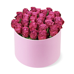 A sumptuous dome of roses in deep fuchsia and rich magenta rises from a blush-pink hat box, forming a perfectly rounded cushion of petals that seems to float against a clean white background. The cylindrical box has a smooth, velvet-like matte surface, its pale pastel tone echoing the gentlest shades hidden at the heart of each rose. Every bloom is nestled closely to its neighbour, with no gaps, creating a continuous wave of colour where lighter pink centres swirl outward into more saturated, berry-toned outer petals. The roses appear freshly opened, their spirals tight yet inviting, as if they've just been delivered to a townhouse off Iffley Road or a riverside apartment looking out toward Christ Church Meadow. Only a whisper of deep green foliage is visible, discreetly tucked between blooms so the focus remains entirely on the rich jewel tones and velvety textures. Photographed from slightly above, the image highlights the precision of the florist's work - a careful choreography of size, height, and angle that makes the bouquet look both perfectly structured and effortlessly lush. The soft, even lighting catches subtle shadows between petals, enhancing the sense of depth and luxury without harsh contrasts. This arrangement evokes the feeling of a lavish, heartfelt gesture in Oxford: perhaps a dramatic birthday surprise delivered to an office near the Westgate Centre, or a romantic 'just because' gift arriving at a cosy terraced home in Summertown, turning an ordinary day into a moment of pure celebration.