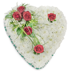 An intimate heart-shaped tribute, arranged with calm precision and a palette of pristine white and rich red, presented on a simple white surface to emphasise shape and texture. The heart's body is completely covered in a dense field of small white chrysanthemums, their rounded heads fitted closely to form a seamless, cushiony plane that reads as both pure and consoling. On the upper left, three deep red roses are clustered together, fully unfurled and cushioned by a mix of glossy green leaves and feathery fern fronds; these blooms create a poignant focal point, their crimson depth suggesting love, respect and quiet sorrow. Slender green beargrass blades arc from the cluster, adding an elegant, calligraphic sweep. Two additional red roses are set apart - one near the top right curve and one toward the lower point - each accompanied by a whisper of greenery so their solitary placement feels intentional and reflective. An emerald satin ribbon neatly edges the heart, its sheen lending a subtle, respectful formality while defining the silhouette. The lighting is soft and clear from above, casting gentle shadows that heighten the textural contrast between the plush chrysanthemum bed and the smooth rose petals. The overall effect is composed and tender, as though prepared by a florist who knows the quiet rituals of loss - a piece suited for a funeral service, memorial chapel, or a commemorative display in a local Oxford church or chapel of remembrance.
