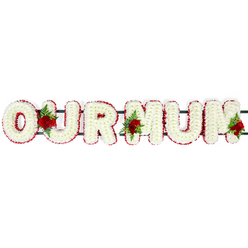 The image shows a serene "OUR MUM" funeral flower tribute, arranged in bold, upright capital letters that stretch horizontally across a bright white background. Each letter is built from countless tightly set white chrysanthemums or similar small blooms, their rounded petals forming a thick, plush surface with no gaps, conveying a sense of care and completeness. Encircling every letter is a neat edging of deep red flowers, most likely carnations or small spray blooms, which creates a strong outline and a graceful contrast between the snowy white core and the passionate red border. Nestled within the arrangement are three carefully placed groupings of red roses, each accompanied by glossy green foliage and fern fronds. One cluster sits delicately between the "O" and the "U", another between the "U" and the first "M", and a final grouping rests at the right end of the last "M", the roses slightly taller and more open to draw the eye. The letters are supported by a discreet dark green frame linking them together, suggesting a design intended for display on an easel or atop a coffin during a funeral or memorial service. With the neutral white backdrop and even lighting, the tribute stands out clearly, allowing every petal, leaf, and curve of the lettering to be appreciated as if viewed in a quiet Oxford chapel or crematorium chapel near the Botley Road. The arrangement carries an air of gentle formality and intimate affection, a classic, personalised tribute that speaks of family bonds and the enduring memory of a cherished mother.