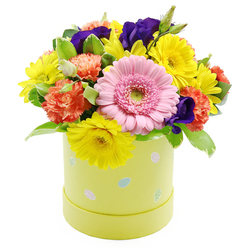 This Easter hatbox arrangement feels like a burst of spring gathered straight from an Oxford garden and composed with a practiced florist's eye. Set against a pristine white backdrop, the flowers form a rounded, abundant dome of colour that rises neatly from a pastel yellow-green cylindrical hatbox. Front and centre is a large blush-pink Gerbera daisy, its symmetrical petals fanning out around a soft green eye, providing a calm focal point amid the lively mix. Around it, bright yellow chrysanthemums spread their ray-like petals, suggesting sunlight spilling over the lawns of University Parks after a rain shower. Interspersed between them are coral-orange carnations, their frilled, slightly cupped petals adding both volume and a nostalgic charm you can almost feel beneath your fingertips. Deep violet lisianthus buds and open blooms weave through the brighter tones, introducing a velvety richness that grounds the palette and adds a more sophisticated note. Lush greenery in varying shades of fresh spring green cradles each bloom, some leaves smooth and glossy, others slightly variegated, offering a gentle contrast in both colour and texture. The cylindrical hatbox itself is decorated with scattered pastel Easter eggs in soft blues, pinks, and whites, some detailed with dots or delicate stripes, giving the design a playful, seasonal character that would suit an Easter brunch in Summertown or a family gathering near Headington. With its carefully balanced colours and tightly composed shape, this floral gift appears both joyful and composed, ideal for same-day delivery around Oxford to lift a room with the feeling of new life and quiet celebration.