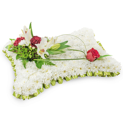 A carefully composed rectangular pillow of hundreds of small white chrysanthemum blooms creates a serene, cloud-like surface photographed against a clean white background, the kind of classic sympathy piece I craft regularly at Flowers Oxford for families across the city. The edges are finished with a neat, pleated pale lime-green satin ribbon, its subtle sheen adding a whisper of colour that frames the cushion with understated grace. Nestled on the upper left, an artful spray of white Oriental lilies - two fully open to show their yellow stamens alongside a tight bud - rises with sculptural poise. Interspersed among them are clusters of deep burgundy spray carnations that bring warmth and a velvet contrast to the pristine white field. Lush foliage, from delicate fern fronds to glossy salal, provides a textural backdrop and a natural, verdant depth. A single, slender arch of green leaf or decorative wire curves across the white chrysanthemums toward the right and terminates in one deep red rosebud, just beginning to unfurl, symbolising enduring love and remembrance. In soft studio light the lilies seem slightly luminous while the chrysanthemums read as matte and cushioning, a combination that comforts the eye and senses. This arrangement is intended for funeral chapels and memorials throughout Oxford - from St Giles and Jericho to funeral directors near Cowley - and it communicates a composed, heartfelt condolence with quiet dignity and floral craftsmanship.