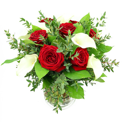 A refined floral arrangement of red roses and white calla lilies stands in a clear glass vase, photographed against a spotless white background with bright, even lighting that feels like a clear morning over Oxford's colleges. At the heart of the design, a cluster of deeply coloured red roses opens fully, each bloom composed of tightly layered, velvety petals that spiral outwards, giving a sense of richness and enduring romance. Between them, elegant white calla lilies rise in smooth curves, their trumpet-shaped forms slightly arched as though mid-bow, with creamy petals that cradle slender yellow-orange centres. The contrast between the intense crimson and the cool white is softened by abundant greenery: trailing stems of eucalyptus with slightly rounded, silvery-green leaves weave through the bouquet, introducing an airy, textured softness reminiscent of the trees along the River Thames paths, while bolder, darker green leaves form a solid base that frames the flowers and adds volume. The stems are gathered with care in a cylindrical glass vase that reveals the natural tangle of green stems and clear water, giving the arrangement a fresh-from-the-florist's-bench authenticity. The overall effect is one of balanced elegance and calm celebration, suitable for a romantic gesture, a milestone anniversary, or a sophisticated centrepiece for a North Oxford townhouse. Crafted with the attention to detail you'd expect from Flowers Oxford, this bouquet reads visually as both timeless and contemporary, a poetic blend of passion, purity, and natural grace.
