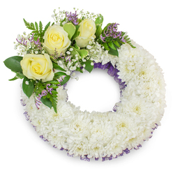 This carefully arranged sympathy wreath presents a perfect ring of snowy white chrysanthemums, each tiny head layered to create a plush, seamless surface that suggests peace and consolation. The dense white body is lightly traced by a thin band of dark purple netting or ribbon that shows through between the blooms on both the inner and outer rims, adding a restrained sense of depth and formality. Placed at the upper-left quadrant, a composed spray of flowers becomes the wreath's quiet statement: three pale yellow roses unfurl with soft, velvety petals, emblematic of warmth and remembrance, accompanied by clouds of gypsophila which give a delicate, breathy texture. Small clusters of lavender-toned statice punctuate the cluster with gentle color without overwhelming the serene white field. Varied foliage - broad green leaves alongside feathery, fern-like fronds - cushions and frames the arrangement, introducing fresh contrast and an organic silhouette against the white backdrop. The lighting is soft and even, throwing a faint shadow beneath the wreath that conveys dimensionality and presence. As a local florist's creation intended for solemn occasions in Oxford, it is the sort of wreath you might trust to express care at a chapel service near Magdalen Bridge or quietly placed at a graveside in a neighbourhood like Summertown. The combination of textures, subtle purple accents, and gentle yellow roses delivers a composed message of sympathy, respect and enduring affection.