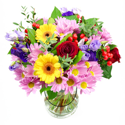 In this image, a lush and carefully balanced bouquet rises from a simple clear glass vase, set before a white background that lets every colour sing, much like a bright shopfront display off Oxford's High Street. Deep crimson roses sit at the central core, their layered petals rich and velvety, giving the arrangement an immediate sense of romance and tradition. Flanking them, two bold yellow gerbera daisies with dark, sunburst centres bring a vibrant, almost celebratory energy, echoing the warmth of a sunny afternoon in South Park. Soft pink chrysanthemum or daisy blooms gather in generous clusters around the centre, each with fine, slender petals and tiny yellow eyes that lend a gentle, cloud-like softness to the design. Woven between these are graceful stems of lisianthus in shades of purple and lavender, their bell-shaped blossoms and delicate buds introducing cool tones and a touch of refinement. Glossy red hypericum berries pop up in small groups, providing rounded texture and an unexpected accent that catches the light. Layers of green foliage, from broad, darker leaves to airy, light-green sprigs, cradle the flowers and create an organic, slightly untamed feel, as if the bouquet had just been gathered from an Oxfordshire countryside garden. Through the transparent vase, you can see the straight, cleanly cut stems submerged in clear water, underscoring the freshness of the blooms. The overall impression is one of warmth, joy, and careful craftsmanship-an arrangement perfect for marking milestones, sending congratulations across Oxford, or lighting up a dining table in Headington with abundant colour.
