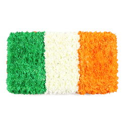 Bold and refined, this rectangular floral flag is built from thousands of petals that align into three confident vertical bands of green, white, and orange. The left stripe blooms in a lush emerald green, a plush carpet of tiny blossoms-green carnations and chrysanthemums-whose clustered texture suggests a soft, tactile surface. The middle stripe is a crisp white, formed from closely packed white petals that create a cloudlike, airy band. The right stripe repeats the same intimate texture in a sunny orange, with marigolds and orange chrysanthemums giving a warm glow. The colours stand in stark, celebratory contrast against a pure white background, and the flag's proportions mirror a standard national banner.

Crafted with intention in Oxford, this piece speaks to both heritage and contemporary floristry. The arrangement balances precision with an organic rhythm-an homage to community gatherings on High Street, at the Covered Market, or along Cowley Road, where people come together to celebrate culture and memory. For articles about Irish identity, St. Patrick's Day, or local holidays, it offers a visually compelling centerpiece that communicates pride without shouting. We deliver this striking work across the city, from Summertown to Jericho, ensuring the petals arrive fresh and true to colour.

The scent is gentle, a hint of fresh petals carried on a light breeze, while the surface remains richly textured to the eye and to the fingertips. The green stripe feels almost velvety, the white band soft as a cumulus, the orange stripe glowing with warmth. This is more than decoration; it's a narrative of two communities finding common ground, expressed through patient craft and a craftsman's care. In a city of scholars and schools, this floral banner becomes a quiet, dignified emblem suitable for ceremonies, commemorations, or moments of reflection-delivered with the reliability and local flair that Oxford florists pride themselves on.