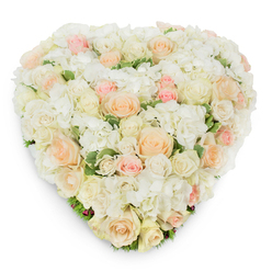 Photographed from a slightly elevated overhead angle on a pristine white surface, this heart-shaped arrangement exudes serene refinement through a closely packed mosaic of roses and hydrangeas. The colour story flows gently from pure white and creamy ivory to soft peach and delicate blush pink, each rose carrying its own voice-some tightly budded, others opening into layered, velvety spirals-while abundant white hydrangea clusters settle between them like soft froth. The tactile contrast between the structured rose petals and the cushiony hydrangea adds dimensionality, and touches of deep, variegated green foliage emerge discreetly to accentuate the pastel tones and provide a cool visual anchor. A soft, natural shadow outlines the heart, suggesting its solid construction and the meticulous handwork behind the design. Close your eyes and you can imagine the faint clean fragrance of roses mingling with the fresh, green scent of leaves-gentle and consoling. The overall feeling is one of compassionate elegance: a heartfelt choice for a sympathy tribute at a service near the Radcliffe Camera or for a tender declaration of love at a small wedding reception in Jericho. The arrangement's lush surface and careful shaping reflect experienced florist technique, offering a polished yet intimate expression of remembrance, affection, and quiet dignity for meaningful occasions in and around Oxford.