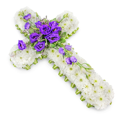 A reverent floral cross, designed as a funeral or memorial tribute, is shown lying against an immaculate white background, the simplicity of the setting focusing all attention on the skill of the floristry. The cross itself is completely cloaked in a dense layer of fresh white chrysanthemums, each flower carefully angled so that together they form a smooth, velvety surface, reminiscent of freshly fallen snow in an Oxford college quad on a winter morning. Tiny green centres punctuate the white, lending the design a subtle rhythm. Running along the outer edges of the cross, a slim lime-green ribbon or trim provides a clean, defined border, framing the tribute much like the tree-lined paths around University Parks frame the lawns within. At the centre point where the arms intersect, a luxurious gathering of royal purple lisianthus blooms rises from the white base. The lisianthus petals are deeply saturated, velvety, and layered, exuding dignity and quiet sorrow. Wisps of light green foliage and a scattering of small buds nestle among the purple flowers, while a few lisianthus stems trail gracefully down the vertical arm, their buds and blossoms appearing to gently tumble in a soft diagonal line. The overhead perspective and diffused lighting reveal each petal and ribbon edge in crisp detail, while a gentle shadow underneath gives the impression of depth and presence. This traditional Christian cross arrangement, often chosen by Oxford families for church or crematorium services from Headington to Botley, expresses sympathy, faith, and a tender farewell to someone dearly missed.