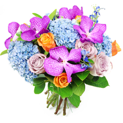 A richly coloured, professionally hand-tied bouquet is shown against a pure white backdrop, allowing every bloom to stand out clearly, as if laid on a florist's counter in central Oxford. Dominating the eye are striking Vanda orchids in vibrant magenta and fuchsia tones, their broad petals overlaid with delicate white speckles that create a refined, almost lace-like pattern. These exotic orchids are nestled with intention among generous domes of pale, sky-blue hydrangeas, whose countless tiny florets cluster together to form soft, cloudlike mounds, calming the eye much like the tranquil lawns of the university colleges at dusk. Interwoven with this cool blue base, clusters of roses emerge in two distinct moods: cheerful orange roses with tightly layered petals beginning to unfurl bring warmth and brightness, while dusky lavender and mauve roses lend a gentle, romantic sophistication. Fine stems of deeper blue accent flowers, similar to delphiniums, rise lightly between the main blooms, adding slender spikes of colour and helping to draw the gaze upward through the arrangement. Around the edges, rich green foliage with broad, glossy leaves provides structure, framing the bouquet and emphasising the vibrancy of the purples, blues, and oranges. The bouquet is shaped in a rounded, domed style, with the natural stems gathered and bound neatly at the base, clearly visible and suggesting a freshly crafted piece, ready for same-day delivery to homes and offices across Oxford, from Summertown to Headington. The overall impression is one of luxurious celebration and thoughtful artistry, ideal for marking milestones or sending an uplifting message when words alone are not enough.