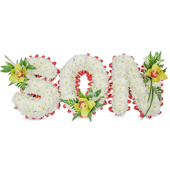 Presented with the attentiveness of a local Oxford florist, this dignified memorial arrangement forms the word SON in solid, three-dimensional letters built entirely from dense clusters of small white chrysanthemums. The repetitive, snowy petals create a cohesive, cushion-like surface that reads as both pure and comforting under soft, natural light-the kind you might notice near Magdalen Bridge or in a quiet corner of the Botanic Garden. A scalloped border of bright red ribbon is carefully laced around the perimeter of each letter and through the hollow of the O, providing a deliberate visual edge that speaks of love and courage. Each letter is further punctuated with a lime-green cymbidium orchid: one nestled into the upper left curve of the S, another cradled at the O's interior base, and a third placed on the upper right of the N. The orchids' yellow-green petals and warm reddish-brown throats lend an elegant, living focal point, while glossy foliage and delicate fern fronds create soft trails of greenery that lift and lengthen the composition. The surfaces range from the chrysanthemums' matte, feathery softness to the orchids' glossy waxiness and the ribbon's satin sheen-textures that read clearly to the eye and in description. Suitable for a funeral, graveside tribute, or a quiet memorial at a local chapel in Jericho or Summertown, this piece balances formal structure with tender botanical detail. Flowers Oxford prepares arrangements like this with attention to seasonal freshness and local delivery across Oxford and nearby villages, ensuring the tribute arrives with care.