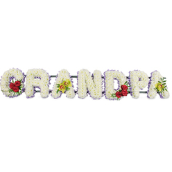 A carefully crafted floral tribute spells out GRANDPA in bold, upright capital letters, arranged in a clean horizontal line on a pure white background that accentuates both form and colour. Each letter is completely filled with compact white chrysanthemums, their small, rounded petals overlapping to form a plush, almost velvety texture, like freshly fallen snow along the paths of University Parks. Around every letter runs a slender border of soft lavender ribbon, offering a faint halo of colour that subtly frames the word and guides the eye from left to right. At the start, the curved section of the G holds a cluster of deep red roses, three or four blooms nestled tightly among rich green leaves, symbolising enduring love and respect. Moving along, the third letter, A, carries an elegant accent of yellow-green orchids, their delicate, star-shaped flowers adding a graceful, slightly exotic note. The inner curve of the D echoes the G with another small group of red roses, while the final A on the right side mirrors the first orchid spray, bringing a gentle sense of balance. Fine metal or wooden bars support the letters from behind, barely visible but ensuring the tribute remains straight and secure for display at a church or crematorium in Oxford, perhaps near Cowley or Botley. The overall mood is one of quiet dignity and warmth: the white blooms convey peace and purity, the roses speak of deep affection, and the orchids suggest cherished memories, making this floral word an intimate, personal farewell for a much-loved grandfather.