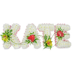 The image shows a bespoke funeral flower tribute spelling out "KATE" in four bold capital letters, arranged in a straight line against a plain white background that keeps all the focus on the flowers themselves. Each letter has been built up from dense clusters of snowy white chrysanthemums, their small rounded heads packed so closely together that they form a plush, cloud-like surface. A narrow trim of pale pink ribbon carefully outlines every curve and angle, the soft blush colour lending a gentle, soothing character that would feel at home in a quiet Oxford chapel or cemetery near Botley Road or Wolvercote. Nestled into this white base are striking accent flowers and foliage placed with a designer's eye. On the left arm of the K and low on the T, lime-tinted cymbidium orchids with speckled reddish throats add an unexpected touch of luxury, their thick petals catching the light. On the A and the E, glossy red anthuriums in the shape of small hearts emerge from pockets of rich green leaves, their lacquered surfaces contrasting with the velvety chrysanthemums. Slender green vines and ferny strands curl across and between the letters, gently linking each character so the name feels like a single, flowing tribute rather than separate pieces. The composition, lighting, and crisp white backdrop make it easy to see every detail, from ribbon ruffles to leaf edges. Created as a personalised sympathy arrangement for a funeral or memorial service in Oxford, this floral name design conveys remembrance, love, and respect in a way that feels intimate and thoughtfully crafted by an experienced local florist.