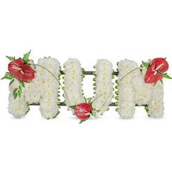 An elegant sympathy tribute shaped into the word 'MUM', crafted from a dense mass of pristine white spray chrysanthemums that wrap each freestanding letter in a soft, cloud-like surface. The tiny blooms are arranged with exacting care so that the letters read with clear form and a gentle, voluminous texture; at the edges a discreet dark green frame shows through, giving the piece structural definition and a calm, grounded silhouette. Three vivid red anthurium blooms - glossy, heart-shaped and marked by their pale white-yellow spadices - are placed with intentional grace: one on the upper left of the first 'M', one settled into the lower curve of the 'U', and the third adorning the upper right of the final 'M'. Around each anthurium, sprays of deep green foliage, from feathered ferns to broader leathery leaves, soften the transitions between white and red and add depth and shadow. Long, arching blades of grass or stems trail lightly from bloom to bloom, unifying the letters with a sense of flow and movement. In soft, natural daylight the chrysanthemums' matte petals contrast beautifully with the anthuriums' polished sheen; the piece smells faintly of green stems and fresh foliage, a quiet reminder of the outdoors. A dignified and heartfelt memorial, this design brings comfort and honour to a mother's remembrance and would sit respectfully at a funeral or graveside service, offered with the sensitivity expected in Oxford's communities around the Covered Market and University Parks.