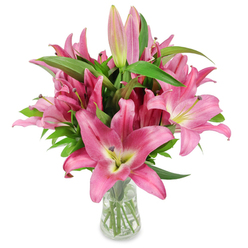 This refined arrangement of pink oriental lilies is photographed on a crisp white surface to accentuate colour, form, and texture, creating a visual that feels both contemporary and timeless. A generous cluster of robust, star-shaped lilies dominates the composition with petals in saturated fuchsia and softer rose tones, each bloom curling back to reveal pale, chartreuse-tinged throats that blend into a creamy centre. The anthers are a rich, dark burgundy, dusted with fresh yellow pollen that gives each blossom a tactile, botanical honesty. Interspersed among the fully open heads are numerous buds at varying stages - some slender and pale, others deeper and poised to unfurl - which signal longevity and changing beauty over several days. The bouquet's greenery, long lance-like leaves and strong upright stems, adds architectural support and a deep green contrast that makes the pinks sing. A simple clear glass vase grounds the arrangement; through its transparency you can see the clean water and trimmed stems, a detail I always point out to clients who care about freshness and vase life.

The overall mood is celebratory yet composed, suited to special occasions or as a thoughtful everyday gift delivered across the city from Botley Road to the High Street. The soft, fresh fragrance of lilies suggests a peaceful morning in Oxford, and the styling here is deliberately minimal to keep attention on the flowers' natural drama and texture. This photo is ideal for features on floral styling, gifting tips, or care instructions for long-lasting cut lilies.