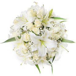 Captured from a top-down viewpoint, this circular bouquet presents an immaculate study in whites and creams: several expansive white oriental lilies dominate the centre, their trumpet-shaped petals unfolding wide and revealing pale greenish-yellow stamens and the faintest touch of purple at their throats. Surrounding them are clusters of cream and ivory roses, many still in snug bud form or just beginning to unfurl, their layered petals creating plush, tactile nests that contrast with the lilies' smoother planes. Fine sprays of white Baby's Breath (Gypsophila) are threaded throughout the flowers, lending a feathery, almost snowfall-like texture that softens edges and draws the eye inward. Small, fresh green leaves emerge at the edges and between blooms, providing crisp, living highlights against the otherwise monochrome palette. In soft daylight the petals hold a subtle luminosity and the composition reads as both formal and comforting - ideal as a bridal bouquet for a ceremony near Radcliffe Camera or a delicate sympathy arrangement for a chapel service. The scent suggested by the arrangement is understated: a gentle lily perfume with a whisper of rose sweetness, not overwhelming but tenderly present. The meticulous symmetry and dense placement of blooms reflect the careful discipline of an experienced florist in Oxford, creating a piece that communicates purity, respect and quiet celebration without ostentation.