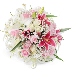 A sumptuous, tightly rounded bouquet of fresh lilies and roses appears suspended against a crisp white background, as if just lifted from a florist's bench near Oxford's historic Broad Street. The composition centres on creamy white lilies, their sculpted, trumpet-shaped petals opening wide to show soft green throats and gently arched stamens. Weaving between them are clusters of pastel pink roses and warm cream roses, some still cupped shyly in bud, others fully unfurled into plush rosettes that catch the light. Adding passion and drama, several deep fuchsia Oriental lilies, similar to classic Stargazer varieties, flare outward with magenta petals dusted with darker speckles and glowing yellow anthers, creating striking points of contrast among the gentler tones. Fine sprays of white baby's breath (Gypsophila) lace through the arrangement, filling every small gap with airy clusters of tiny blooms that lend a cloud-like softness. Glimpses of fresh green foliage, mostly from lily leaves and rose stems, anchor the design and offer a cool counterpoint to the rich pinks and creams. The lighting is bright and even, revealing each petal's velvety surface and the subtle shading where colours blend. This bouquet feels romantic yet polished, the kind of arrangement a local Oxford florist might recommend for a graduation celebration near the Radcliffe Camera, an intimate wedding at a college chapel, or a meaningful anniversary surprise delivered to Cowley or Botley, when you wish to convey love, admiration, and joy in one generous embrace of flowers.