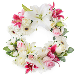 A full, open circular wreath of sympathy flowers is shown against a clean white backdrop, almost glowing in its mix of soft whites, blush pinks, and rich fuchsia tones. At its heart are stately white lilies, their wide, velvety petals unfolding around golden-tipped stamens and fresh green centres, giving the arrangement a calm, almost cathedral-like presence that feels fitting for a memorial in central Oxford. Interwoven with them are deep pink and magenta lilies, their star-shaped blooms dusted with speckles, adding notes of warmth and remembrance. White gerbera daisies with dark centres sit cheerfully among the grander blooms, their layered petals offering a gentle, familiar charm, like flowers picked from an Oxfordshire meadow. Soft pink roses curl delicately at the edges, some still in bud, while creamy white roses open in tight spirals, symbolising tenderness, fidelity, and a life well-remembered. Sprays of petite white blossoms, probably miniature carnations or similar filler flowers, are tucked thoughtfully between larger heads, ensuring there are no gaps in the design and creating a cushioned, luxurious texture. A ring of lush, mixed greenery supports the flowers, with varying leaf shapes and shades of green adding depth and a natural frame to the circular form. This wreath, crafted in a style a local Oxford florist would create for services near Headington, Summertown, or Jericho, expresses quiet dignity and heartfelt sympathy, its unbroken ring suggesting eternal love and the gentle continuity of memory.