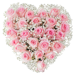 Close enough to smell the cool satin of pink petals, this heart-shaped bouquet is a study in soft romance and careful florist craft. Tightly packed soft-pink roses create the body of the heart, each flower displaying a subtle gradation of tone from a whisper-light blush to a modestly richer rose at the centre. A few buds remain snug while others unfurl into layered rosettes, giving the surface a tactile rhythm of curves and folds. Interspersed among them, the baby's breath (Gypsophila) appears like fine white lace, its tiny clustered blooms catching highlights and lending an airy contrast that prevents the composition from feeling heavy. Bright, even lighting in the photograph accentuates the velvety texture of the petals and the delicate, feathery sprays of gypsophila, while the pristine white backdrop isolates the heart so every nuance is visible: the soft shadows in petal crevices, the glossy sheen along newly opened edges, the faint veins in each petal. A seasoned florist's hand is evident in the balance and symmetry - the precise spacing that creates a perfect heart silhouette without gaps. The arrangement evokes gentle devotion and tender celebration, ideal for Valentine's Day, weddings, anniversaries, or a compassionate offering at a memorial. It reads as both a visual and sensory message: a carefully made emblem of love that speaks in scent, texture, and subtle pink light.