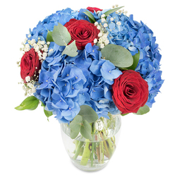 An elegant, vibrant bouquet photographed on a pristine white backdrop, arranged with the care of an Oxford florist and finished in a clear glass vase that reveals the fresh green stems beneath the waterline. The composition is dominated by plush, sky-blue hydrangea heads, their many-petalled florets forming generous, soft spheres that catch the light like a summer sky. Interspersed among that cool blue are several intensely coloured red roses - three prominent blooms in velvety, tightly furled spirals - which create a passionate counterpoint and focal rhythm across the arrangement. Wisps of white baby's breath (Gypsophila) drift through the composition, their tiny ivory clusters adding an ethereal, star-like texture that offsets the denser blooms. Rounded eucalyptus leaves and other fresh greenery thread through the bouquet, their muted sage tones and subtle herbal scent offering depth and balance. The vase's slightly rounded base and tapering neck give the whole piece an anchored yet airy silhouette; you can see the stems neatly trimmed and set in clear water, a detail that speaks to freshness and careful floral technique. The overall mood is celebratory and composed - perfect for marking anniversaries, birthdays, or for sending warm congratulations across Oxford from Flowers Oxford's workshop near the Covered Market and Radcliffe Camera.