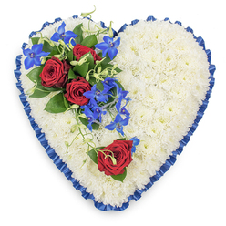 This image shows a beautifully composed heart-shaped floral tribute, perfect for a funeral or memorial gathering in Oxford's churches or crematoria. The heart itself is densely filled with pristine white chrysanthemums, each bloom closely nestled into the next so that the surface appears almost like soft white velvet or fresh snow. Their uniform texture creates a peaceful backdrop, allowing the accent flowers to stand out with quiet strength. Running all the way around the edge is a royal blue satin ribbon, expertly pleated and slightly ruffled; its rich colour frames the heart, while its gentle sheen catches the light in small highlights, adding a sense of refinement and care. In the upper left quadrant, a dramatic spray of flowers draws attention: three deep red roses in full bloom are arranged among dark green foliage, their layered petals unfurling to express love, devotion, and remembrance. From this cluster, bright electric blue dendrobium orchids trail diagonally towards the centre, their star-like petals adding a contemporary touch and an almost luminous quality against the white mums. Delicate, curling green tendrils weave through the orchids, softening the lines and suggesting natural movement, as if a breeze had gently brushed them. On the lower right edge of the heart, a solitary red rose lies with a small accompaniment of greenery, subtly mirroring the main spray and completing the design with quiet symmetry. The tribute feels thoughtfully made by a local Oxford florist, suitable for same-day delivery to services in areas like Summertown, Cowley, or near the dreaming spires, offering a moving expression of sympathy and lasting love.