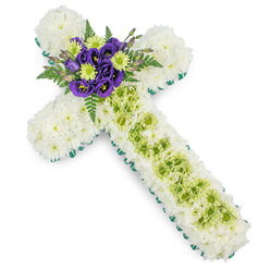 A devotional cross-shaped floral arrangement is presented on a white backdrop, its overall impression one of tranquillity and gentle reverence, suitable for a funeral, memorial service, or chapel of rest in Oxford. The main structure of the cross is densely padded with tightly clustered white spray chrysanthemums, creating a smooth, almost quilted texture of petals that suggests purity, remembrance, and a soft place for the eye to rest. Framing this expanse of white, a continuous border of vivid green ribbon or finely folded leaves runs around the outer edge, giving the cross a clear, defined silhouette reminiscent of the manicured lawns in the college quads. Down the centre of the vertical arm, an inset strip of lime-green button chrysanthemums introduces a fresh note of colour. Their compact, domed blooms sit neatly among the white, and a lattice of thin, pale green wires gently criss-crosses this section, adding a subtle pattern that speaks of careful craftsmanship. At the intersection where the arms meet, a rich central spray becomes the focal point: deep purple lisianthus blooms, their petals softly curled and velvety, are gathered together with bright lime-green chrysanthemum buttons. Behind and around them, dark green fern fronds and small leaves extend outward, giving depth and a touch of natural movement, like foliage stirred by a breeze along the Oxford Canal. The arrangement feels both traditional and contemporary, a thoughtful sympathy tribute that local families might request for services in churches around Headington, Cowley, or Summertown, expressing love, faith, and quiet hope through its harmonised tones of white, green, and purple.