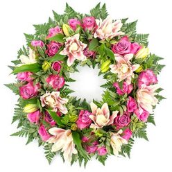 Centered on a pure white background, this circular funeral wreath appears almost to float, its fullness and symmetry drawing the eye into a continuous ring of colour and texture. The design is dominated by roses in an exquisite spectrum of pink: from deep magenta blooms with velvety, saturated petals to soft, blush-toned buds just beginning to unfurl. Each rose seems carefully turned to show off its natural spiral, some densely ruffled, others smooth and gently cupped, creating a sense of movement all the way around the wreath. Nestled among the roses are elegant double lilies, their layered petals painted in shades of creamy white, pale pink, and muted peach. A few petals show slightly deeper pink accents toward the tips, adding a subtle depth that feels both romantic and serene. Some lilies are open wide, revealing their centred stamens and textured throats, while several lime-green buds remain tightly closed, their pointed forms adding contrast and a feeling of quiet anticipation. Beneath and surrounding the blooms, a generous collar of foliage lends structure and softness. Delicate fern fronds curve outward in feathery arcs, while broader, glossy leaves in rich emerald tones fill the spaces, making the floral ring appear lush and complete. The strong contrast between the greenery and the warm pink flowers allows each element to stand out, yet the overall impression remains calm and cohesive. Seen through the eyes of an experienced Oxford florist, this wreath feels ideal for a funeral or remembrance gathering anywhere from Summertown to Headington, offering a graceful way for families to express sympathy, respect, and cherished memories through flowers.
