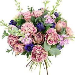 A richly detailed hand-tied bouquet sits against a bright white backdrop, its colours and textures almost glowing as if lit by soft Oxford daylight. At its heart, large garden roses unfold in shades of blush pink, dusty mauve, and antique rose, their many layers of petals giving the arrangement a classically romantic core. Around them, plush, frilled carnations enhance the sense of movement, each bloom showing a delicate gradient from creamy centres to rose-pink and plum edges, like watercolour washes blending into one another. Deep indigo and royal blue flowers, some still in neat, tulip-like buds and one bold, open anemone with a dark, inky centre, punctuate the pinks and mauves with dramatic contrast, recalling the rich tones you might glimpse in college quadrangles at dusk. Wisps of pale lilac and lavender stock weave upward, each slender stem dotted with many small blossoms, adding airiness and vertical rhythm. The surrounding foliage is lush yet controlled: dark green leaves cradle the blooms while rounded, silvery eucalyptus disks create a gentle haze and suggest a cool, refreshing scent. The visible stems, tightly bound at the base, reaffirm that this is a freshly prepared bouquet, ready for delivery across Oxford, from Summertown to Headington. The overall impression is of calm elegance and quiet celebration, the kind of floral gift that would soothe during a difficult time, mark an important milestone, or bring a touch of soft romance to a dinner table on a cobbled street off St Giles.