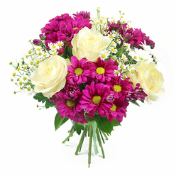 A lush mixed-colour bouquet is displayed against a crisp white backdrop, allowing every detail of the flowers to stand out with gallery-like clarity. In the heart of the arrangement, full-headed roses in creamy white that blush into soft buttery yellow unfurl in elegant spirals, their smooth petals evoking satin or fine wedding lace. Encircling them, bright fuchsia and magenta chrysanthemums burst with energy, their yellow-green centres glowing like tiny sunbursts, echoing the lively feel of Oxford's Covered Market on a busy morning. Scattered throughout are small sprays of dainty white daisies, similar to chamomile or matricaria, each with a warm yellow centre that adds a light, airy rhythm and a hint of countryside charm, as if gathered near Port Meadow on a summer walk. A few unopened chrysanthemum buds in deeper purple-pink peek through the mass of petals, offering contrast and suggesting the promise of days of continued colour. The foliage is a rich, verdant green, with leaves that curl and layer to create a gentle, natural nest for the blooms. All the stems meet in a tidy bundle at the base, secured with a fresh green and white checkered ribbon that feels both playful and carefully considered. The lighting is clean and bright, with minimal shadow, giving the bouquet a fresh-cut, just-arranged look you might expect from an experienced local florist. This arrangement feels joyful yet refined, ideal for marking milestones, sending congratulations, or brightening a living room or study anywhere across Oxford.