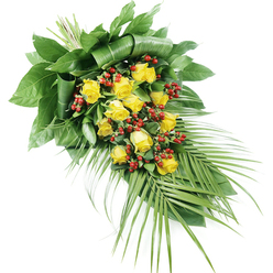 A sophisticated funeral spray of yellow roses and red berries is shown resting against a stark white background, its elongated silhouette drifting diagonally from the upper left towards the lower right like a gentle river of blooms. At the centre, a generous gathering of golden yellow roses catches the eye, their petals unfurling from tight buds into open, velvety rosettes that seem to glow with a soft, comforting light. Nestled between the roses are small, rounded clusters of deep red Hypericum-style berries, smooth and polished, bringing a jewel-like accent that sets off the cheerful yellow and prevents the design from feeling too delicate. The flowers are supported by a rich bed of foliage: at the top, sturdy, dark green leaves are layered and sometimes folded back on themselves, creating a structured, almost sculptural base a local Oxford florist might carefully build in the workshop before dawn. From the lower right, slim palm fronds and feathery, tapering greenery stretch out, their pointed leaflets creating a sense of gentle movement and elongation, reminiscent of leaves stirred by the breeze along the paths of University Parks. The stems are neatly gathered and bound at the top, hidden beneath the foliage so the spray appears seamless and complete when viewed from above on a coffin or memorial stand. Under soft, even light, every texture is clear: the satiny rose petals, the waxy green leaves, the firm berries. This arrangement conveys warmth, respect, and quiet strength, a fitting tribute for families across Oxford seeking to honour a life with colour and grace.