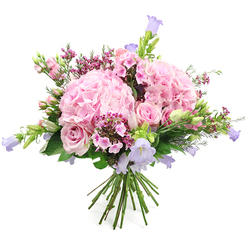 A lush, round bouquet of pink and purple flowers is photographed against a crisp white background, every detail of the hand-tied design clearly visible. Dominating the arrangement are generous clusters of soft pink hydrangeas, each head formed from a multitude of tiny ruffled petals that create a velvety, cloud-like texture. Tucked between these pastel domes are light pink roses in different stages of bloom: some fully opened in classic spirals, others held in neat buds that promise to open over the coming days, adding a sense of gentle unfolding. Slender stems of bell-shaped blooms in lilac and soft lavender shades, likely campanula, rise slightly above and between the larger flowers, lending a natural, meadowy feel similar to the wildflower corners you might see along the towpath by the River Thames in Oxford.   

Deeper pink filler flowers, in tones of fuchsia and magenta, cluster in small sprays throughout the bouquet, catching the light and drawing the eye further into the arrangement. Fine green leaves, fresh buds, and sprigs of foliage surround and cradle the blossoms, giving a lively contrast to the pink and purple palette and enhancing the impression of just-picked freshness. At the base, the stems are clearly gathered and bound, indicating a carefully constructed hand-tied bouquet ready for a vase on a Cowley kitchen table or a central Oxford office desk. The overall mood is joyful yet refined, evoking romance, appreciation, and celebration. It feels ideal for same-day flower delivery around Oxford when you want to send a thoughtful birthday gift, mark an engagement, or simply brighten someone's home with the soft colours and quiet cheer of a summer garden.