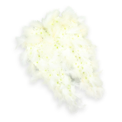 The image shows an exquisitely detailed funeral floral tribute shaped as a pair of angel wings, resting on a spotless white background that enhances every texture. Each wing is built from a dense carpet of small white flowers, likely chrysanthemums or mini carnations, carefully aligned so that their rounded petals create a luxuriously soft, cushioned effect. At the center of many blooms, there are tiny touches of pale green and buttery light yellow, giving the arrangement a subtle, natural variation, like the gentle tones of early morning light over Oxford's quiet college quads. Along the outer curve and wing tips, plush white feathers are layered in generous clusters, their fine strands fanning out to suggest motion and airiness. These feathers lend an ethereal quality, as though the wings could lift at any moment and carry a beloved soul towards peace. A discreet shadow beneath the arrangement hints at depth while maintaining the stillness of the scene. The overall impression is one of profound calm and purity, as if this piece has been created to cradle memories with tenderness. Imagined as part of a farewell at a local Oxford chapel or crematorium, this angel wing tribute feels like a compassionate gesture from a skilled florist, expressing protection, spiritual comfort, and the hope of gentle transition for someone dearly missed.