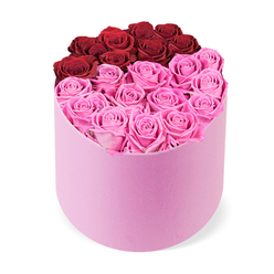 As a floral stylist working in Oxford, I read this arrangement as a statement of modern romance-the forever emblem of devotion gathered in two tones that speak to passion and sweetness. The deep red roses form a rich arc at the top, curling toward the pale pink shade that cradles them, as if the surrounding pinks have embraced the crimson bloom. The cylindrical box, coated in soft pink, adds a tactile velvet impression beneath the fingertips, and the roses themselves wear luscious, softly cupped petals.

The blooms open generously, petals layered and perfectly arranged, with every stem spaced to create quiet abundance rather than crowding. The composition feels bright and uplifting-the symmetry, the gentle contrast, and the sense of joyful celebration. It's made for marking a milestone, for delighting someone you hold dear, or simply to brighten a home after a long day. The soft scent of roses fills the air in a way that hints at Spring in Oxford's parks, from Port Meadow to University Parks. We offer this design in a shop near the Covered Market, available for same-day delivery across the city to Jericho, Walton Street, and Headington. A gift like this speaks of refined taste and thoughtful care, a bouquet that invites the recipient to open with wide eyes and a full heart.