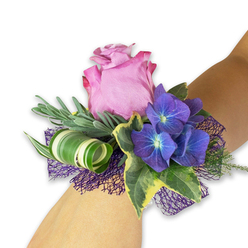 This corsage presents a delicate study in contrasts on a light-toned wrist against a stark white background: a single lush mauve-pink rose forms the focal point, its petals unfurling to reveal softly ruffled edges tinged a touch darker, suggesting freshness and a faint, floral perfume. Flanking the rose are generous clusters of saturated indigo and deep purple hydrangea, their tiny florets each showing a pale bluish centre that seems to glow, creating a cool counterpoint to the rose's warmth. Interspersed among the blooms, slender sprays of silvery-green foliage-evocative of eucalyptus or lavender-provide an airy, textured backdrop and a whisper of herbaceous scent. Variegated ivy leaves lend classic formality, their dark green cores edged in cream and yellow that add brightness and traditional charm, while a contemporary curled blade with bold white-and-green striping gives the wristlet a sculptural twist. Beneath, a layer of open, dark violet mesh lifts the composition and ties the purple tones together with a subtle, lacy movement as the wearer turns. The arrangement reads as both joyful and composed: tactile with silky petals, crisp leaves, and soft netting, crafted for memorable moments like a prom at the Sheldonian or a wedding ceremony near Iffley Road. A local florist's hand is evident in the balance of colour and texture, designed to sit comfortably on the wrist while making a quietly confident statement.