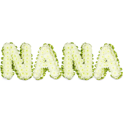 A heartfelt tribute spelling out "NANA" in snowy white chrysanthemums is captured against a stark white backdrop, the small, button-like blooms packed tightly to form soft, cloudlike letters. Each capital character is sculpted from hundreds of pristine florets whose delicate, closely layered petals create a pillowed surface that seems to glow under gentle, even lighting. Around every letter a pleated band of vibrant green foliage or ribbon cradles the flowers, its cool, fresh tone offering a living frame that symbolizes renewal and the quiet persistence of memory. From a florist's vantage, the careful clustering of each chrysanthemum head gives the letters reassuring substance and a tactile softness - you can almost sense the fragile, papery texture of the petals beneath your fingertips. The arrangement reads as calm and consoling: understated rather than ornate, an emblem of respect and affection often chosen for memorials, visitations, or a graveside farewell for a cherished grandmother. The pale white and verdant green palette suggests purity, peace and natural grace; the workmanlike precision of the design speaks to a steady hand and compassionate intent. Imagining it in an Oxford setting, the piece would resonate in quiet chapels near University Parks or at a service close to Magdalen, bringing a gentle, soothing presence. This floral tribute communicates love, remembrance and the quiet dignity of a life well tended, offering comfort to those who come to say goodbye.