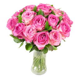 A generous arrangement of about two dozen pink roses forms a perfectly rounded, lush bouquet presented in a clear glass vase, captured on a pristine white backdrop. Each rose displays a delicate gradient: intense magenta or fuchsia concentrated toward the spiral centre, easing to tender blush pink and sometimes a faint creamy white at the petal edges. The flowers are tightly grouped to create a dome of colour, while rich green foliage peeks through to lend contrast and structural rhythm. Through the transparent vase you can see crisp green stems immersed in clear water, the glass catching bright, even light that accentuates petal texture and the velvet sheen of the blooms. This image carries a subtle sensory memory-the sweet, slightly fruity scent of fresh garden roses and the cool touch of water on trimmed stems-transporting you to a summer morning stroll past the Covered Market or along Broad Street. As a local florist I arrange blooms like this for celebrations across Oxford, from graduation bouquets near University Parks to heartfelt gifts delivered around Jericho; at Flowers Oxford we prize seasonal freshness and classical balance. The bouquet reads as both joyful and refined, suited to anniversaries, birthdays, Mother's Day, or as a centerpiece that brings quiet elegance to a home. The composition demonstrates careful floral craft: colour gradation, density of bloom, and the interplay of light and leaf combine to make a statement that feels cultivated, sincere, and intimately local.