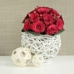 A romantic centerpiece of deep red roses sits proudly in the middle of the frame, its compact, dome-like form suggesting a design meant for close conversation across a wedding or celebration table in Oxford. Each rose is rich crimson, with velvety petals that layer tightly around one another; some blooms are just beginning to open, while others are fully unfurled, creating a tapestry of subtle curves and soft shadows. Threaded among the roses are clusters of small, glossy red Hypericum berries, catching the light like tiny polished stones and adding a slightly brighter note of red within the composition. The blooms rise from a discreet ring of dark green foliage, visible only at the very base, offering depth without drawing attention away from the saturated reds above. The bouquet is cupped by a distinctive spherical vase, fashioned from thin white branches or wicker twigs woven into an open lattice sphere. This white globe has an airy, sculptural presence, its curved, intersecting lines reminiscent of contemporary décor pieces you might see in stylish homes around Jericho or along the Cowley Road. Light filters through the gaps, creating delicate shadows on the smooth white tabletop beneath. To the left of the vase, two decorative wicker balls in a natural straw or beige tone rest casually on the same surface; the larger orb sits slightly closer to the viewer, with a smaller one tucked behind, their relaxed, rustic weave softening the overall look. The background is a softly blurred neutral wall, likely in warm beige or taupe, with a gentle, woven-like texture that feels calm and homely. Together, the elements create an atmosphere of quiet luxury and heartfelt romance, perfect for an intimate Oxford dinner, an engagement celebration, or a refined wedding breakfast.
