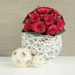 At the heart of this serene, softly lit scene is a rounded bouquet of luxurious red roses, gathered closely together so that their velvety petals form a dense, romantic dome, reminiscent of an intimate wedding reception in an Oxford hotel overlooking the river. Each rose varies slightly in openness: some are still tight and promising, with petals spiralling inward, while others have unfurled into full, generous blooms that reveal deep, shadowed centres. Between these crimson flowers, tiny clusters of red berries peek out, smooth and glossy, adding an extra layer of colour and texture, like small festive accents woven through the bouquet. Encircling the base, a tidy ring of dark green leaves supports the arrangement, their rich hue and subtle shine grounding the vivid reds above. The bouquet is nestled into a striking white vase made from interlaced strands, as though fine twigs or wicker have been bleached and braided into a contemporary, nest-like structure that feels both rustic and refined. In front of the vase, resting on a clean white surface, lie two decorative spheres crafted from flat, cream-coloured wooden ribbons, woven into open frameworks that mirror the vase's airy pattern and add a sense of balance. Behind it all, a warm beige backdrop with a gentle, linen-like texture keeps the focus squarely on the flowers while adding softness to the composition. The arrangement suggests love, celebration, and quiet sophistication, the sort of centrepiece a local florist in Oxford might create for a romantic ceremony in Summertown or a refined gathering near the Bodleian Library.