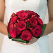 Cradled in soft, even light, this red bridal bouquet looks as if it has just been finished on a workbench in an Oxford flower shop, ready to be carried down the aisle of a church off the Cowley Road or into a registry office in the city centre. The arrangement is dominated by generous red roses, each one fully shaped, with petals layered like velvet ribbons curling into a precise spiral. Their tone is a rich, classic red-neither too bright nor too dark-evoking the warmth of candlelit celebrations and winter formals at nearby colleges. Tucked between the roses are clusters of red hypericum berries, smaller, rounder, and slightly brighter, catching tiny highlights where the light touches their smooth, polished skins. They create playful dots of texture and give the bouquet an almost jewel-like depth. Around the base, folded aspidistra leaves form a sturdy green frame, their broad surfaces glossy and deep, providing a strong, modern outline that contrasts beautifully with the softness of the blooms. The bouquet seems balanced and thoughtfully structured, the kind of design a skilled local florist would suggest for couples marrying near Jericho or strolling afterwards along the banks of the Thames. You can imagine the faint rustle of leaves and the gentle brush of rose petals against a lace gown, along with the subtle, romantic fragrance rising as the bride moves. Every detail of this bouquet suggests intention and devotion, turning a simple grouping of roses and berries into a heartfelt symbol of love in the heart of Oxford.