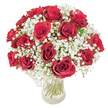 A classic, lovingly arranged bouquet of roughly 18-20 rich, deep red roses set in a clear glass vase, each bloom opened to reveal velvety, layered petals in a luxurious crimson. The roses form a tight, domed composition, their rounded heads creating a unified face of colour that is gently softened by an abundance of tiny, cloud-like white baby's breath (Gypsophila paniculata) tucked between and around every stem. The glass vase is transparent and simple, allowing the fresh, verdant green stems to be visible below the water line; the straight stems offer a cool, linear contrast to the soft, curved petals above. Photographed against a pristine white background with bright, even light, the surface of each petal gleams faintly with dewy highlights while the baby's breath reads as an airy, frothy halo that both offsets and uplifts the deep reds. Close inspection reveals textural contrasts: the smooth, almost satiny rose petals, the feathery clusters of minuscule white blossoms, and the firm suppleness of the stems. The scent is implied - a subtle, classic rose perfume that feels intimate rather than overpowering - and the overall mood is romantic, elegant, and confident. This is the sort of arrangement commonly chosen to mark anniversaries, Valentine's moments, or a heartfelt apology, and it carries the quiet assurance of long-standing floral craftsmanship. For Oxford residents who know the calm mornings around Port Meadow or the warm light in the arcades by the Covered Market, this bouquet will read as a familiar, refined gesture of love and devotion.