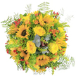 Brimming with the cheerful spirit of an Oxford summer, this lush, sun-dappled bouquet features bold sunflowers with rich, dark centers and golden petals that radiate positivity. Soft yellow roses curl gracefully round the sunflowers, their serene beauty and subtle scent offering a comforting, welcoming feeling. Scattered throughout are exuberant orange blooms and bright red berry clusters, which add vivacity and depth-like discovering hidden pockets of colour in a tranquil Oxford garden after the rain. Fronds of airy fern and bundles of goldenrod spill from the bouquet's edge, imparting a wild, freshly gathered charm reminiscent of the wildflowers at Christ Church Meadow. Sprigs of eucalyptus, their silvery leaves shimmering in the sunlight, infuse the arrangement with an earthy, herbal freshness that soothes and uplifts. Designed as a celebration of life's bright moments, this bouquet makes for an ideal gesture of encouragement or gratitude, crafted with an expert's touch and the heartfelt care only a true Oxford florist can provide.