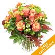 A vibrant, hand-tied autumn bouquet photographed against a crisp white backdrop, the arrangement celebrating warm seasonal tones and layered textures. At its heart are several large, fully opened roses with centres of soft peach and apricot that graduate outward to deeper coral and russet on the outer petals; their ruffled faces catch the light and read like small painted sunsets. Interspersed among the roses are sprays of bright orange and honey-yellow freesia, their slender stems and open trumpets giving the bouquet a lively, airy rhythm. Rich, glossy dark green foliage and finer chartreuse sprigs form a verdant cradle, while clusters of lime-green hypericum berries and tight button-like green Santini florets add playful bumps of texture and contrast. Scattered through the composition are a few deep reddish-brown oak leaves, their lobed silhouettes and matte surfaces bringing an unmistakable autumnal note. The stems are neatly gathered and tied at the base with natural jute twine, the trimmed ends visible and suggesting a hand-tied bouquet ready for a vase. Soft, natural light throws gentle shadows across petals and leaves, and the overall scent is hinted at-warm rose sweetness edged with leafy, earthy spice. A bright orange diagonal banner overlays the bottom right corner of the image, clearly stating FREE CHOCOLATE in bold white letters and signalling a seasonal promotion. This bouquet feels like an invitation to bring the calm warmth of fall indoors, perfect for a Thanksgiving table on a chilly evening in Oxford or as a generous gift for someone wanting a touch of seasonal colour.