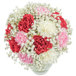 Like a gentle spring morning in Oxford, this bouquet opens with a mist of white gypsophila that softly cradles ruffled carnations, their petals alive with shades of ruby red, pale pink, and creamy white. Each blossom seems kissed by fresh air, their layered petals shimmering beneath bright, even lighting that highlights the vibrancy of the palette. Expertly arranged into a rounded, full-bodied composition, the bouquet sits in a clear vase-its submerged stems and clear water suggesting both natural vitality and the honest simplicity of college garden borders across the city. The baby's breath, scattered among the carnations, adds a dreamy delicacy, diffusing the colours and lending a sense of floating softness that's both uplifting and serene. From historic High Street homes to the leafy avenues of Headington, this bouquet offers a poetic gesture of affection, celebration, or appreciation. Its presence conjures memories of Oxford's distinctive floral markets and traditions, making it an ideal choice for everything from Mother's Day and anniversaries to spontaneous acts of kindness. The overall mood is one of lightness and refined grace-a bouquet shaped by the city's unique blend of history, beauty, and heartfelt connection.