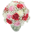 This exquisite arrangement, reflecting the gentle rhythms of Oxford life, is a celebration of thoughtful floristry and natural beauty. A generous mix of rich red, elegant blush pink, and creamy off-white carnations forms the focal point, each bloom alive with textured, ruffled petals that tempt the eyes and fingers. Encircling the sturdy carnations, delicate white baby's breath (Gypsophila) drifts through the arrangement like morning mist gliding over Port Meadow, infusing the bouquet with ethereal softness and contrast. The bouquet's composition is masterfully rounded and full, lending a sense of abundance that's equally suited to joyous occasions or heartfelt thanks-its mood both uplifting and serene. Housed in a clear glass vase, the fresh green stems are visible in clear, sparkling water, underscoring the arrangement's local freshness and careful design. Set against a pristine, white background, every colour seems more vibrant, every petal more defined. The scent is a gentle blend of carnation spice and the subtle freshness of greenery, offering comfort and joy with each glance or breath. Ideal for gifting to a loved one in Headington, or as a radiant centrepiece for gatherings in North Oxford, this bouquet is a luminous statement of hope, gratitude, and celebration, ready for delivery by Oxford's most dedicated florists.