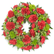 Against a stark white background, a generous funeral wreath appears almost to glow, its classic circular shape defined by a dense tapestry of deep red and lime green. Dominating the ring are red carnations, tightly massed so their ruffled petals form a soft, continuous cushion of colour. Some flowers are wide open, revealing the intricate curl of each petal, while others are still rounding out, which adds a gentle movement to the design. Interlaced throughout are clusters of lime green button chrysanthemums, petite and perfectly round, their minutely packed petals lending a velvety, almost playful contrast to the more frilled carnations. The palette suggests both solemnity and hope, like a walk through Oxford's University Parks on a cool spring morning when old trees stand over fresh new leaves. Supporting the blooms is a rich framework of greenery: deep green, finely divided fern fronds spread delicately outward, and variegated pittosporum leaves with creamy edges catch small highlights, softening the transition between flowers and foliage. A few tasteful loops of green-striped ribbon weave through the lower portion, blending with the foliage so that only gentle flashes of pattern show. The wreath holds its circular form with precision, evoking continuity, memory, and the circle of life. It is easy to imagine this arrangement resting by a graveside in one of Oxford's peaceful cemeteries or placed beside a casket during a service, the colours quietly offering condolences while honouring the personality and vibrancy of the person being remembered.