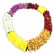 Against a spotless white backdrop, a vibrant Hawaiian-inspired lei crafted from artificial chrysanthemum-like flowers lies in a smooth oval, as though ready to be placed atop a memorial urn or casket at an Oxford funeral service. The garland is lush and full, every inch covered by small, rounded blooms whose many layered petals create a soft, almost pillowy texture. Moving clockwise from the uppermost left, the lei begins with an expressive band of rich fuchsia and deep magenta tones, then gently darkens into a segment of warm maroon and cranberry red that feels calm and steady. From there, the colours lift into a glowing golden-orange section, like a late sunset over the rooftops near the High Street, before transitioning into a bright, lemon-yellow stretch that radiates quiet cheer. The final segment is composed of pure white flowers, cool and serene, before the pattern cycles back seamlessly into the original fuchsia tones, reinforcing the sense of continuity and enduring love. Subtle glimpses of green between some flower clusters hint at hidden stems or fabric leaves, suggesting traditional stringing techniques even though the materials are designed to last. A faint, soft shadow falls directly beneath the oval, giving the lei dimension and making it appear tangible and touchable. The image balances festivity with reverence, blending the welcoming aloha spirit with the thoughtful mood of a tribute arrangement, suitable for remembering someone who loved travel, colour, or the gentle beauty of flowers, right here in Oxford.