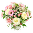 A rounded bouquet of pastel pink and cream flowers is carefully arranged and photographed in clear, even light against a bright white background, creating a fresh, contemporary look. The eye is immediately drawn to the large cream roses at the centre, their petals unfolding in soft, velvety layers that suggest romance and gentle luxury. Around them, petite pink spray roses cluster in varying stages of bloom, from tight buds to half-open flowers, adding depth and a charming, almost storybook feel. One or more vivid pink gerbera daisies provide a stronger punch of colour, their flat, symmetrical petals circling a deep, textured centre and lending a cheerful energy similar to the buzz of Broad Street on a sunny afternoon in Oxford. Light pink carnations with delicately ruffled petals swell the shape of the bouquet, creating a plush, cloud-like texture that feels both cosy and elegant. Threaded through this mixture, slender white alstroemeria blossoms reveal fine speckles and delicate striping on their inner petals, offering a refined, slightly exotic touch. Sprays of tiny white gypsophila flowers fill the spaces between the larger blooms, giving the bouquet a soft haze and enhancing its romantic character. Fresh green foliage, glimpsed among the flowers and along the neatly tied stems, provides contrast and a sense of just-picked freshness. The arrangement has a warm, uplifting mood, ideal for sending love to a friend in Summertown, marking a special birthday in Headington, or simply offering a comforting, pastel-toned gesture of care anywhere in Oxford through thoughtful flower delivery.