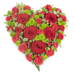 A vivid heart-shaped arrangement, created as a funeral or memorial tribute, is shown against a spotless white background, allowing every blossom and leaf to stand out clearly. The heart itself is compact and symmetrical, built entirely from fresh flowers that are placed so closely together they form a lush, continuous surface of colour. Throughout the design, large, velvety red roses are positioned as anchor points, their luxurious, tightly coiled petals giving a sense of timeless romance and deep devotion. Filling the spaces between these roses are numerous smaller red spray or mini carnations, which bring a frilled, almost feathery texture, intensifying the richness of the crimson areas and tracing the contours of the heart. Scattered among the red blooms are clusters of bright lime-green button chrysanthemums, their neat, rounded shapes offering a lively contrast that lifts the whole composition and suggests new life amidst the sadness of parting. Along the edges, subtle accents of variegated foliage with cream-tipped leaves frame the design, while a delicate fern frond extends at the lowest point, giving a gentle, natural finish. The tribute feels thoughtfully composed, as if prepared for a service at one of Oxford's historic churches or a quiet chapel on the outskirts of the city. Its blend of passionate red and refreshing green speaks of love, respect, and cherished memories, making it an appropriate choice for families wanting to send a clear, heartfelt message through flowers during moments of grief, remembrance, or final farewell.
