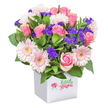 A vibrant, fresh floral arrangement nestled in a modern white square pot, this bouquet captures the beauty of Oxford's seasons. Soft pastel pink roses mingle with deeper, more vivid pink blooms, each at various stages from tight bud to open blossom-offering both a sense of renewal and timeless romance. Light pink gerbera daisies, with their delicate petals and distinctive lemon-yellow centres, create joyful focal points throughout the display. Here and there, tufts of feathery deep purple limonium add layers of colour and contrast, evoking the wildflowers that line Oxford's riverside walks. Muted white filler blooms and lush green leaves complete the ensemble, giving the bouquet its natural, garden-fresh character reminiscent of Arlington Drive in springtime. The white ceramic-like box is subtly adorned on the front, echoing the thoughtful, playful touches cherished by Oxford flower lovers. Set against a pure background, each bloom and leaf stands out, making this bouquet a delightful gift for celebrations, get-well wishes, or simply bringing a ray of Oxford sunshine into someone's home or college common room-an uplifting token of care and artistry from local florists.
